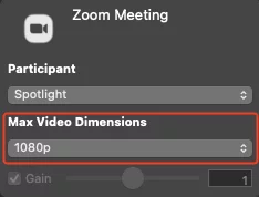 Configuración de las dimensiones de vídeo de las reuniones de Zoom