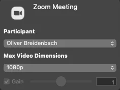 Zoom Meeting Source Dimensiones de vídeo