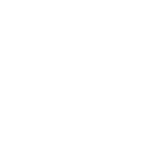 LMU-wit
