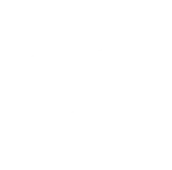 deutsche-welle-witte