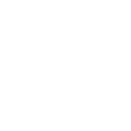 RTMP
