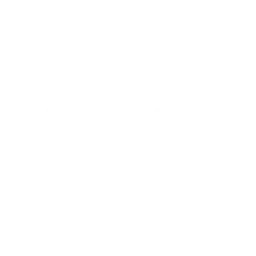 RTMP