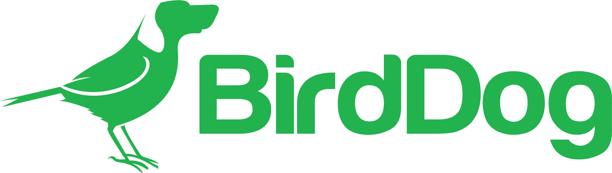 BirdDog